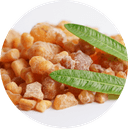 Boswellia serrata – Kadidlovník pilovitý